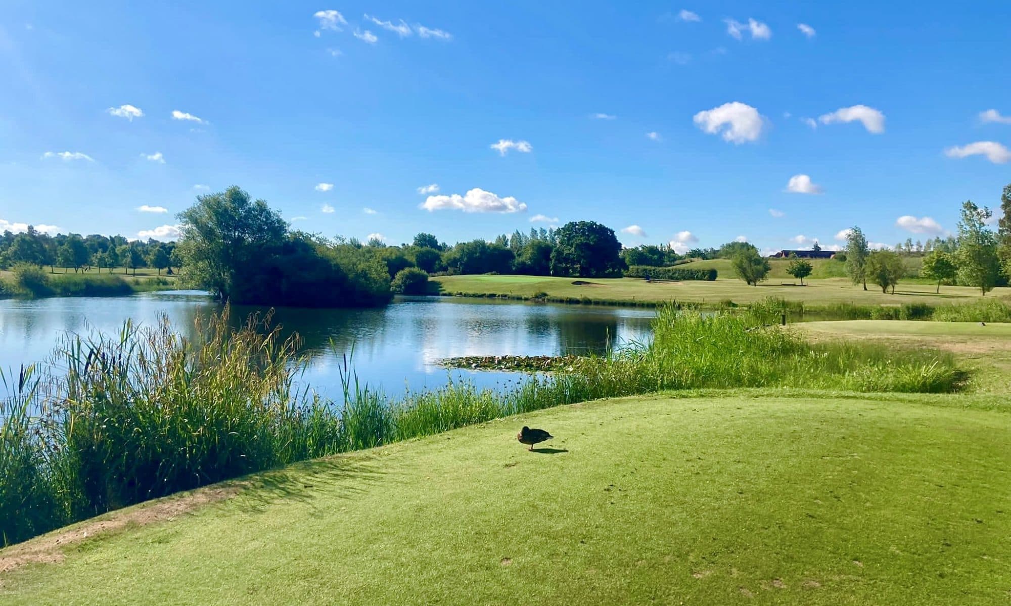 Langdon Hills Golf & Country Club
