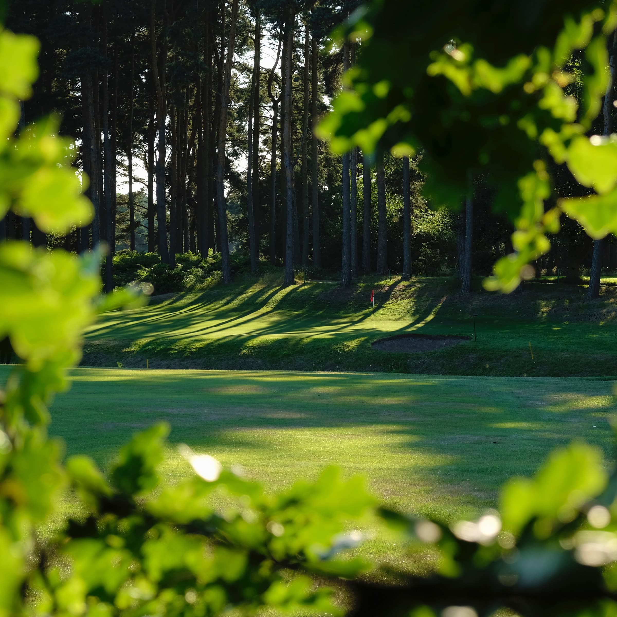 Market Rasen Golf Club