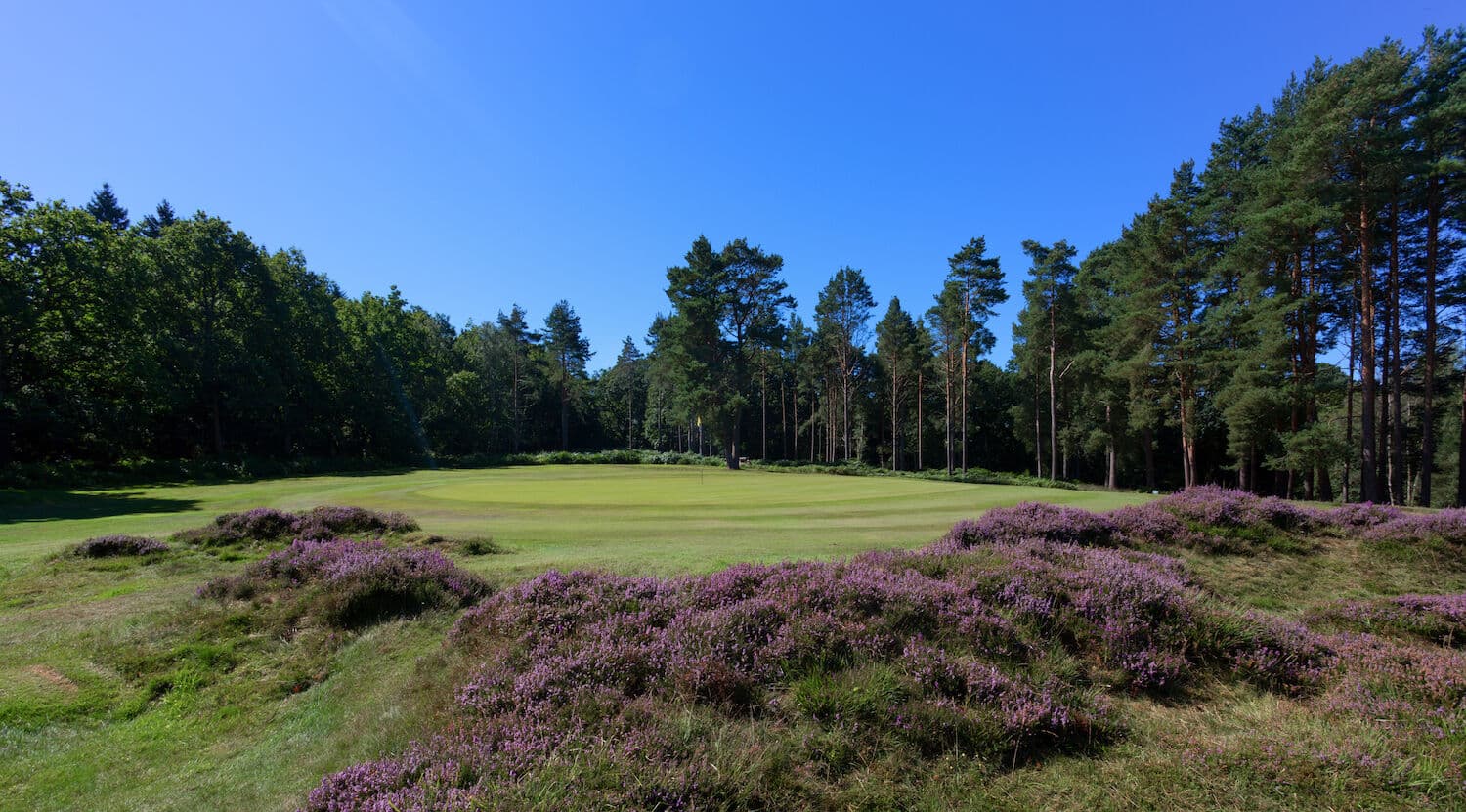 Royal Ashdown Forest Golf Club