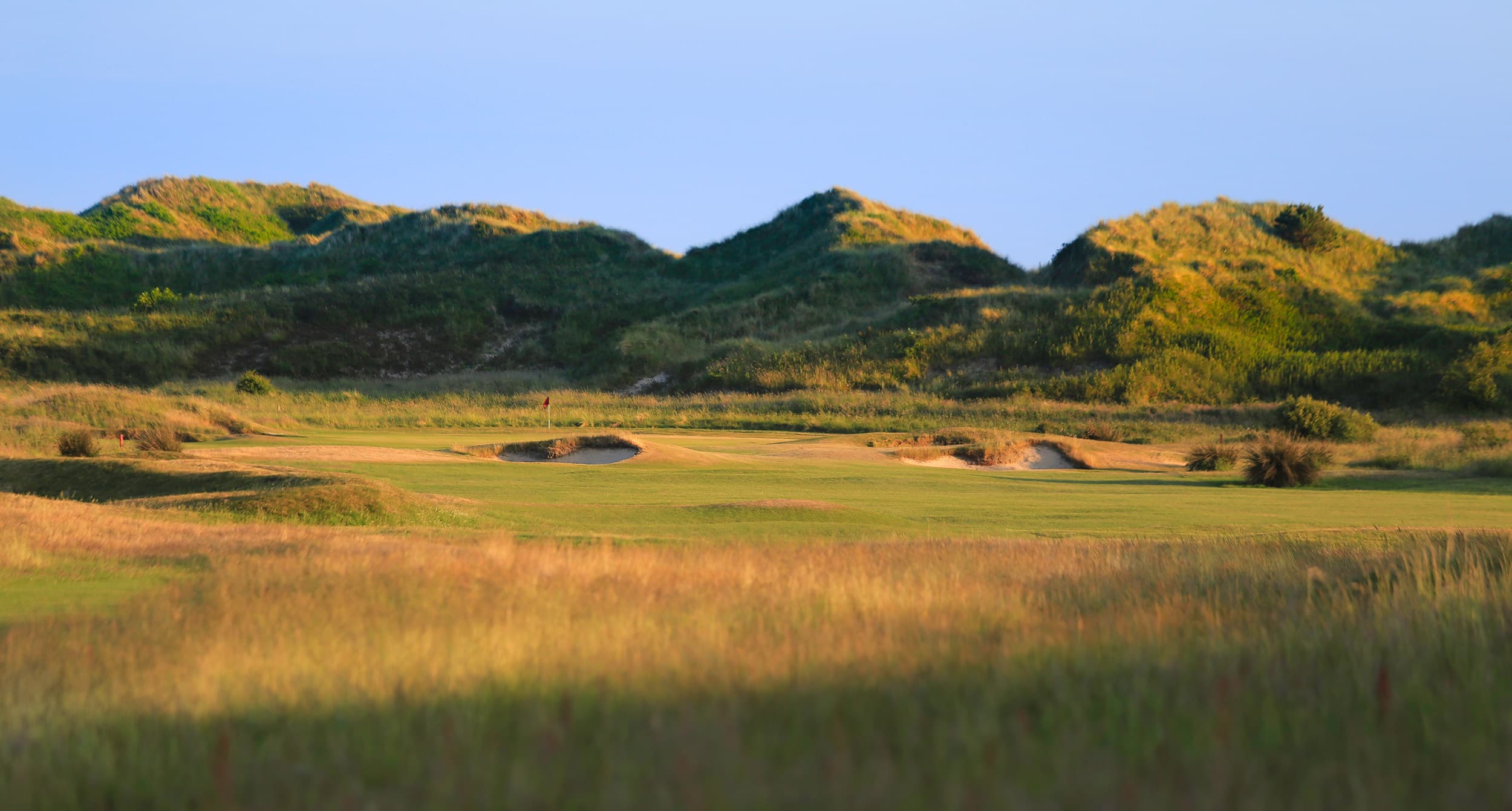 Royal St David's Golf Club
