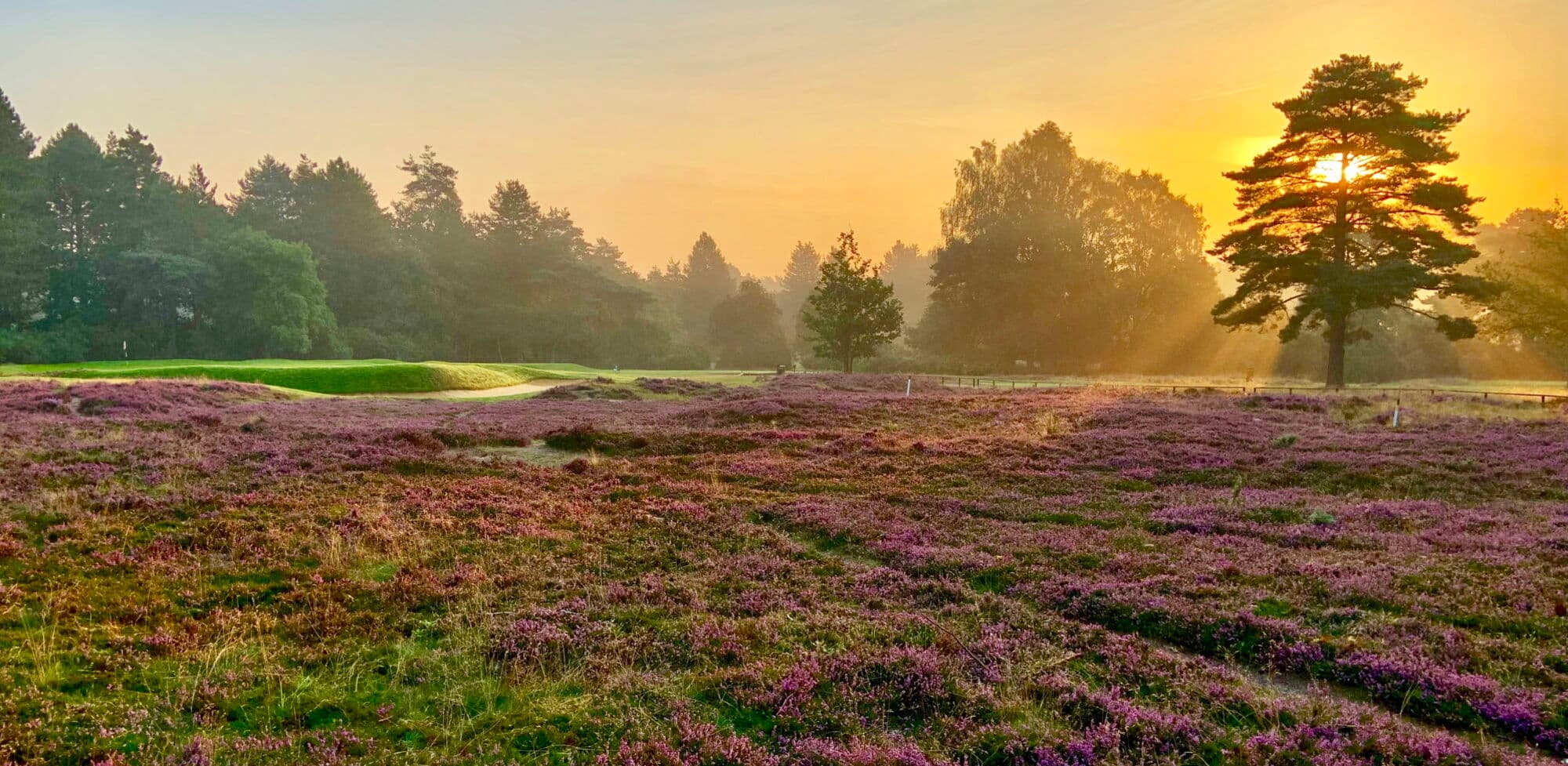 Thetford Golf Club