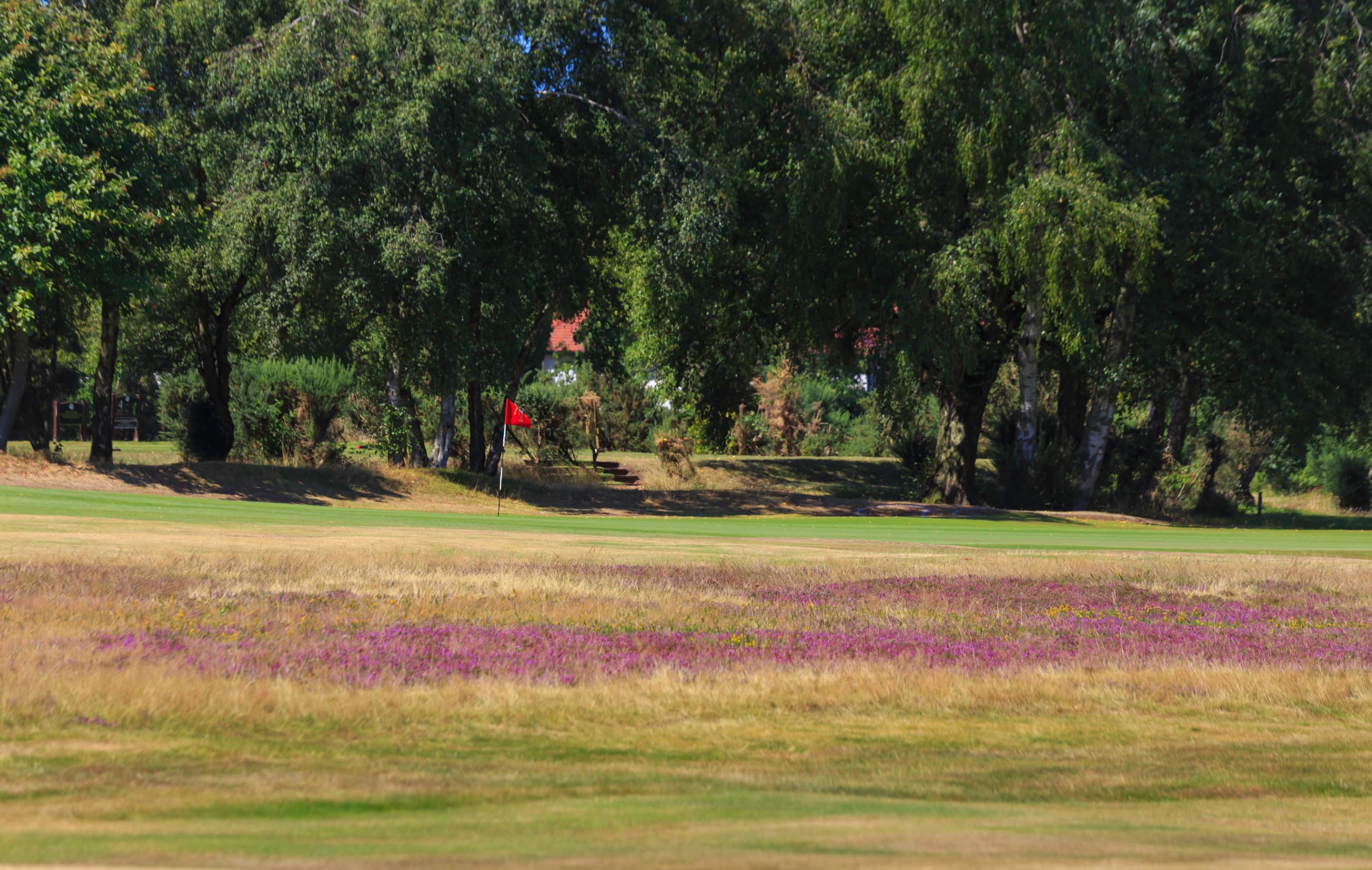 Wirral Golf Club